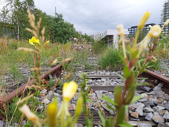 Photo of rails at the Hannoverscher Bahnhof Memorial, photo: Serhat Keskin, 2019 n