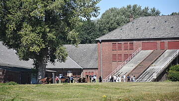 Visitor in front of the former brickworks at Neuengamme Concentration Camp Memorial