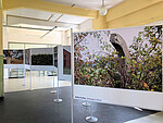 Fotoausstellung im Foyer der Hauptausstellung - zu sehen sind 6 großformatige Fotos vom Gelände der Gedenkstätte