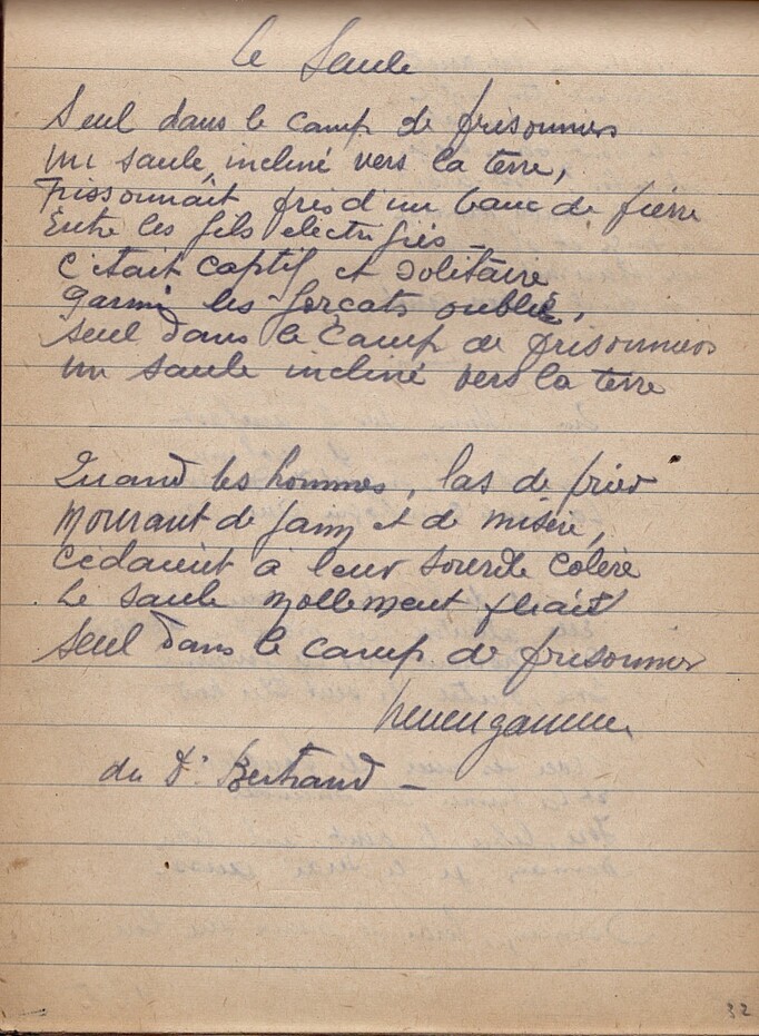 Notizbuch: Gedicht über Trauerweide