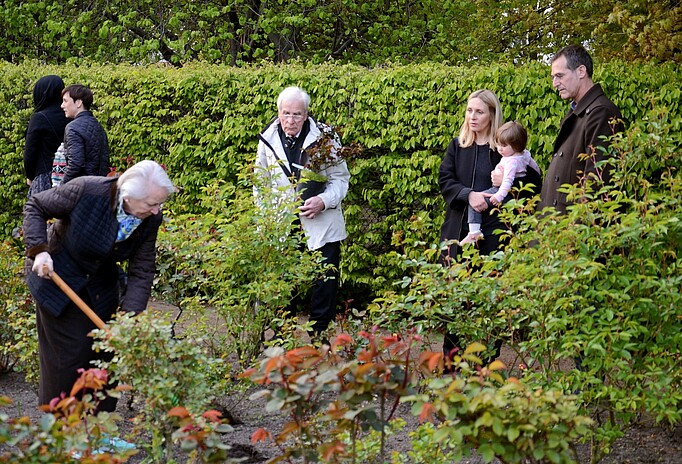 Foto aus dem Rosengarten